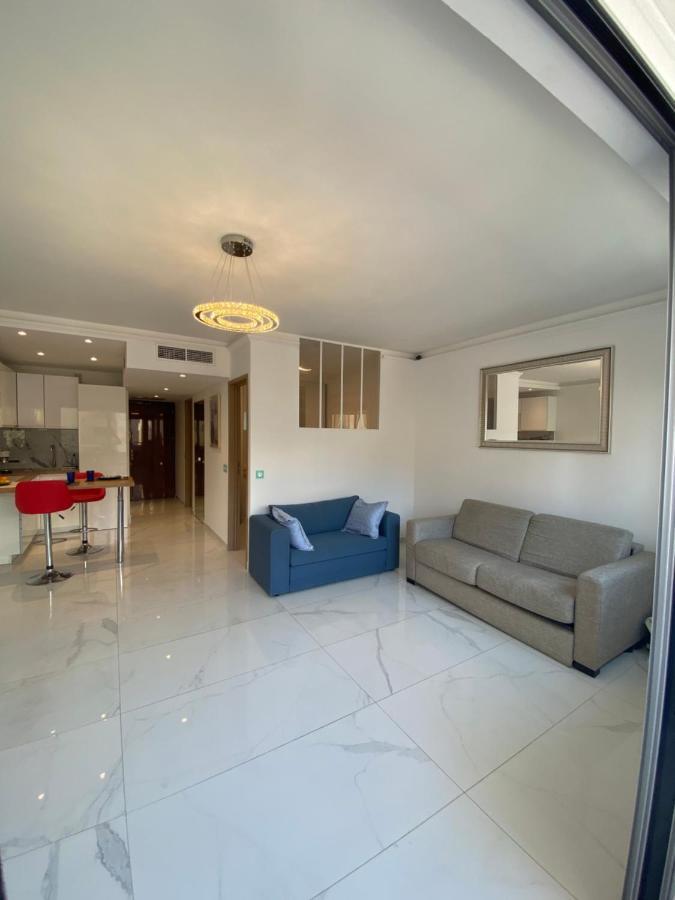 Le Royal, Spacious Seaside Apartment Rooftop And Pool Νίκαια Εξωτερικό φωτογραφία