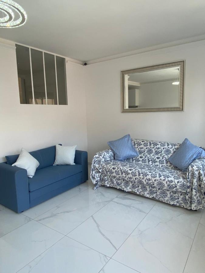 Le Royal, Spacious Seaside Apartment Rooftop And Pool Νίκαια Εξωτερικό φωτογραφία